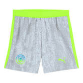 Manchester City Third Away Shorts 25/26 Gray