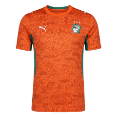 Côte d'Ivoire Home Soccer Jersey World Cup 2026 Orange